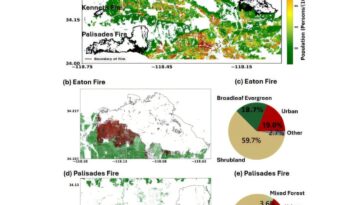 Janvier 2025 Les incendies de forêt de Los Angeles servent de réveil à mesure que les événements «une fois dans une génération» deviennent fréquents