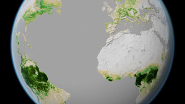 L'ESA dévoile un ensemble de données le plus long sur la biomasse forestière