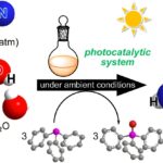 L'ammoniac fait à partir de l'air, de l'eau et du soleil: les catalyseurs imitent la photosynthèse pour une production plus propre