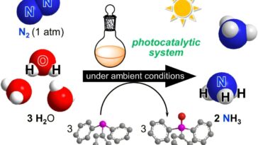 L'ammoniac fait à partir de l'air, de l'eau et du soleil: les catalyseurs imitent la photosynthèse pour une production plus propre