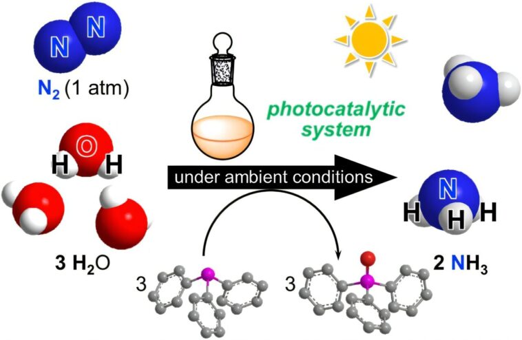 L'ammoniac fait à partir de l'air, de l'eau et du soleil: les catalyseurs imitent la photosynthèse pour une production plus propre