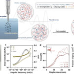 L'échographie déverrouille une façon plus sûre et plus verte de fabriquer des hydrogels