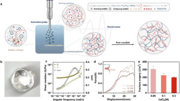 L'échographie déverrouille une façon plus sûre et plus verte de fabriquer des hydrogels