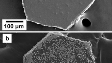L'éclat de Glitter cache un côté plus sombre - il peut changer la chimie de nos océans