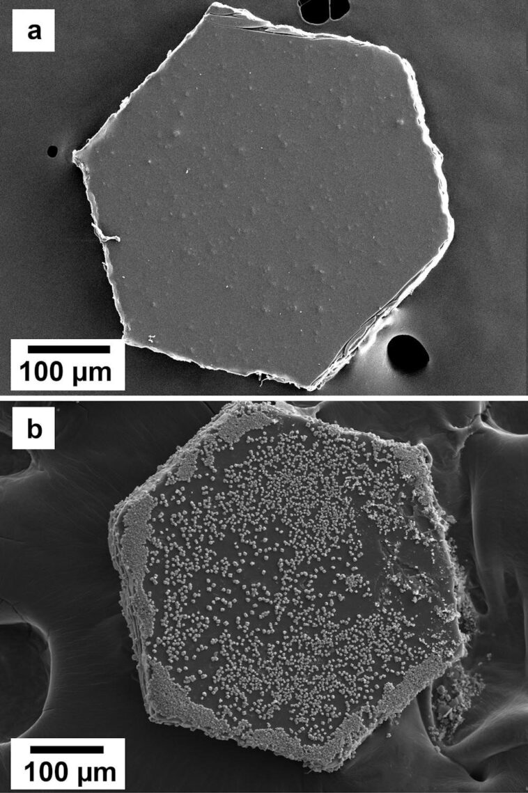 L'éclat de Glitter cache un côté plus sombre - il peut changer la chimie de nos océans