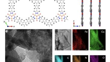 L'électrosynthèse de l'urée à partir de gaz de combustion atteint une efficacité élevée sans sous-produits d'ammoniac