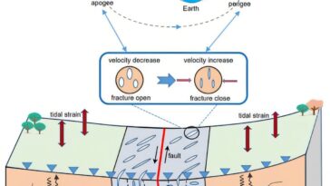 L'équipe de recherche révèle comment les forces de marée affectent la vitesse des vagues sismiques dans la zone de faille