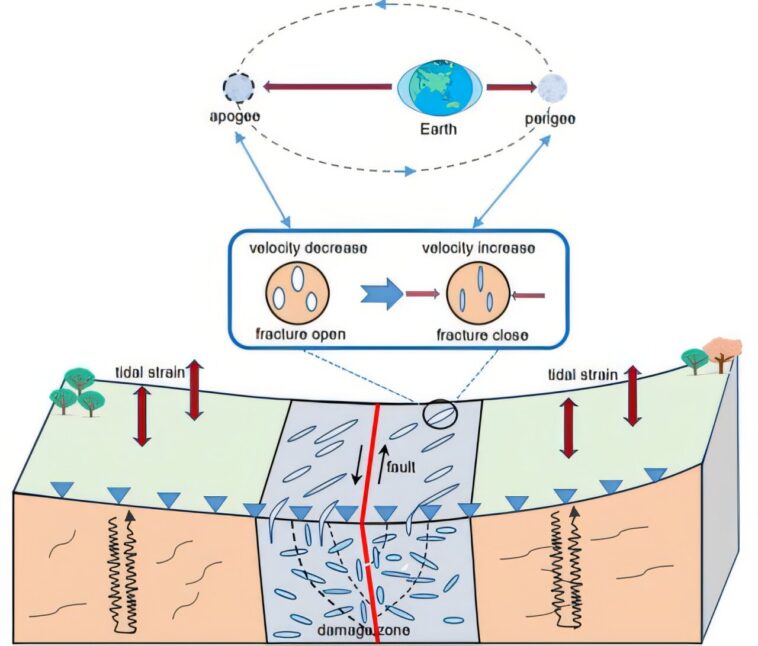 L'équipe de recherche révèle comment les forces de marée affectent la vitesse des vagues sismiques dans la zone de faille