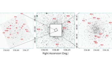 L'étude spectroscopique inspecte les stars de Straggler Blue dans NGC 3201