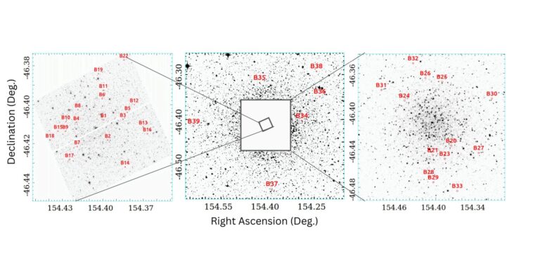 L'étude spectroscopique inspecte les stars de Straggler Blue dans NGC 3201
