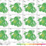 La carte de 30 mètres alimentée par satellite expose les émissions de Co₂ de Nanchang