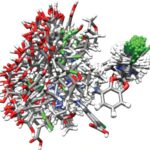 La cartographie au niveau atomique du médicament au diabète amorphe révèle des liaisons hydrogène comme clé de la stabilité La cartographie au niveau atomique du médicament au diabète amorphe révèle des liaisons hydrogène comme clé de la stabilité