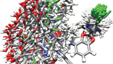 La cartographie au niveau atomique du médicament au diabète amorphe révèle des liaisons hydrogène comme clé de la stabilité