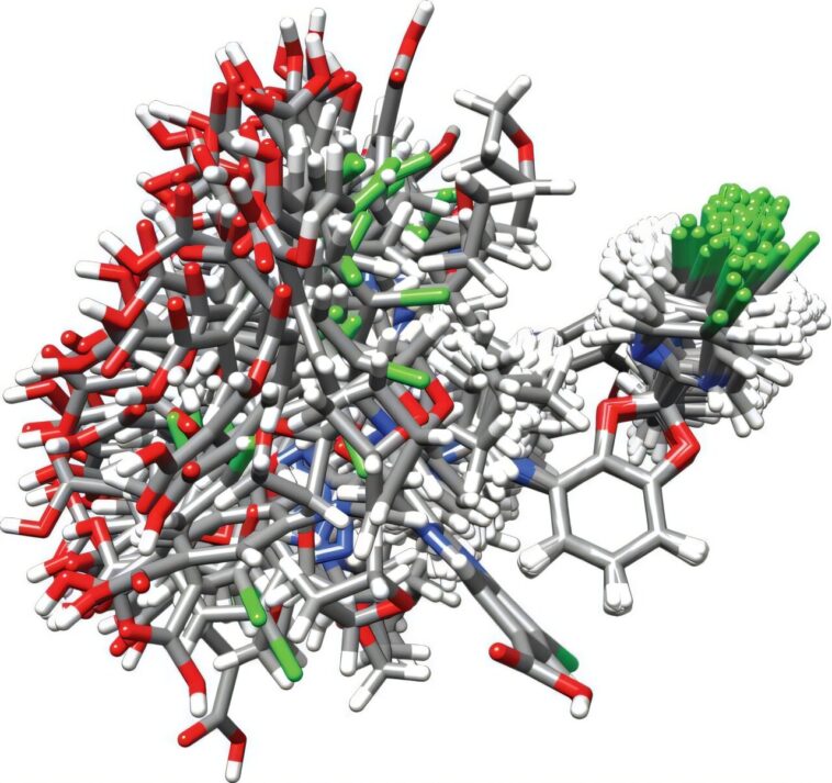 La cartographie au niveau atomique du médicament au diabète amorphe révèle des liaisons hydrogène comme clé de la stabilité