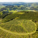 La combinaison du boisement et de l'élimination du co₂ océanique pourrait réduire la pression sur les zones terrestres