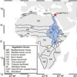 La hausse des températures entraîne une libération de carbone inattendue à partir des sols La hausse des températures entraîne une libération de carbone inattendue à partir des sols