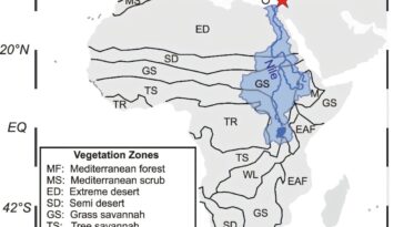 La hausse des températures entraîne une libération de carbone inattendue à partir des sols