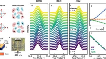 La membrane titanate du strontium tendu se croise en territoire ferroélectrique et quantique -