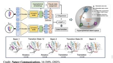 La méthode d'apprentissage en profondeur identifie les états de transition dans les changements de conformation des protéines