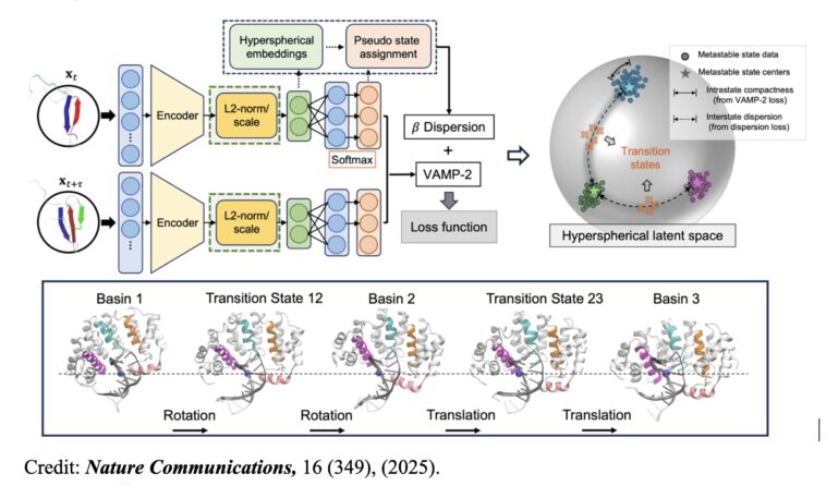 La méthode d'apprentissage en profondeur identifie les états de transition dans les changements de conformation des protéines La méthode d'apprentissage en profondeur identifie les états de transition dans les changements de conformation des protéines