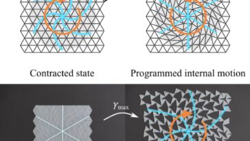 La méthode géométrique intuitive simplifie la conception inverse de Kirigami