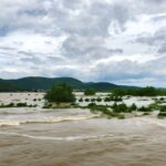 La méthode simple calcule précisément comment les mangroves protègent les côtes contre les vagues fortes La méthode simple calcule précisément comment les mangroves protègent les côtes contre les vagues fortes