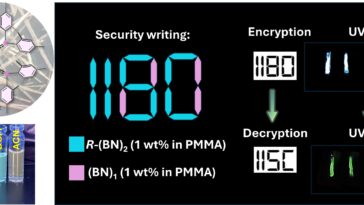 La molécule biologique brillante dans le noir est prometteuse pour les applications d'imagerie et de sécurité