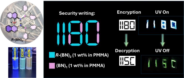 La molécule biologique brillante dans le noir est prometteuse pour les applications d'imagerie et de sécurité