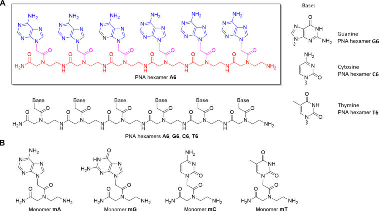 La molécule de type ADN peut survivre aux conditions de nuages ​​de type Vénus