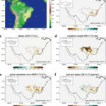 La perte de forêt d'Amazon entraîne une baisse mesurable des précipitations régionales