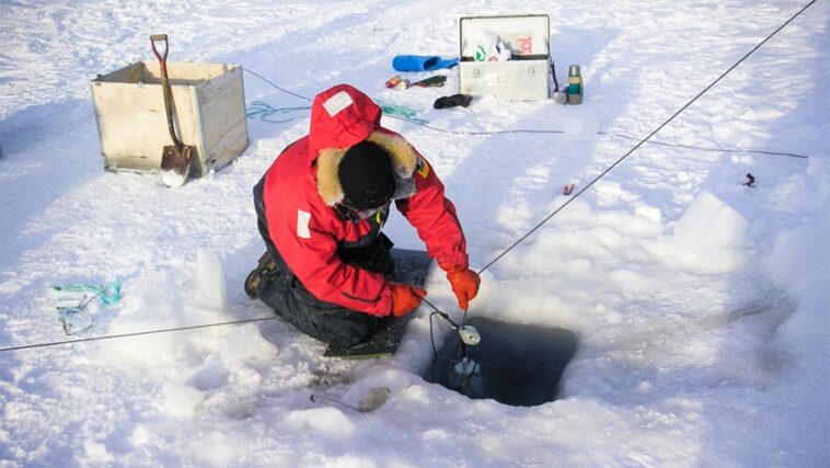 La perte de glace de mer modifie les couleurs de la lumière dans l'océan La perte de glace de mer modifie les couleurs de la lumière dans l'océan