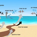 La pollution de la rivière Tijuana affecte la qualité de l'air à San Diego, trouve l'étude