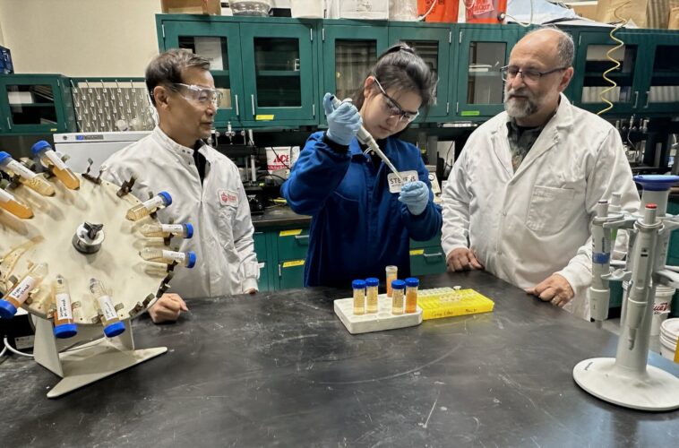 La poudre de fer surpasse le carbone activé comme adsorbant pour les SPFO - même quand il rouille