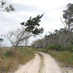 La prédiction des inondations pourrait stimuler la résilience des routes au large des côtes de la Géorgie