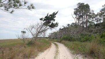 La prédiction des inondations pourrait stimuler la résilience des routes au large des côtes de la Géorgie