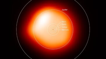 La recherche est en cours de bétel