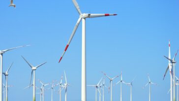 La recherche suggère que la création d'énergies renouvelables pourrait ne pas réduire la production de combustibles fossiles