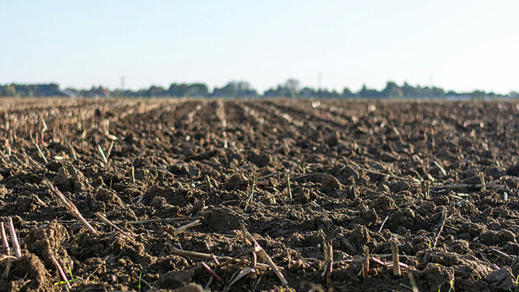 La simplicité peut être la clé pour comprendre l'humidité du sol