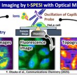 La technique d'imagerie avancée mappe la composition chimique des cellules individuelles dans les tissus