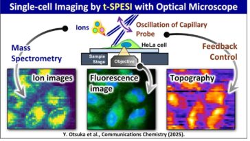 La technique d'imagerie avancée mappe la composition chimique des cellules individuelles dans les tissus