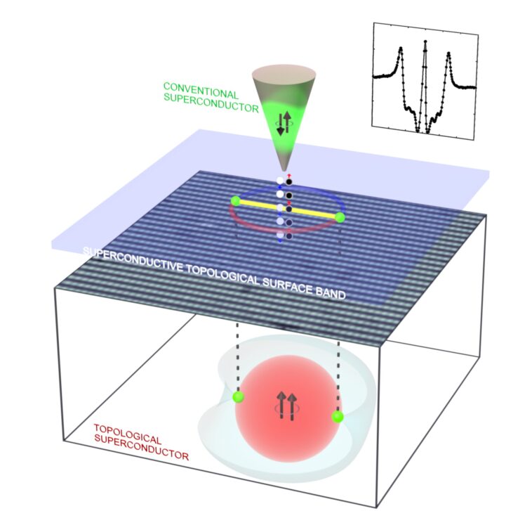 La technique de visualisation quantique confirme que Ute₂ est un supraconducteur topologique intrinsèque
