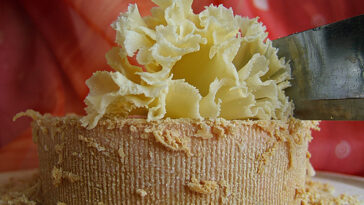 La variation de frottement crée des fleurs de fromage signature de Tête de Moine