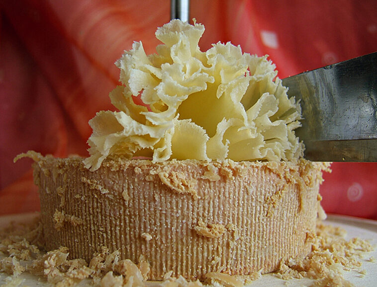 La variation de frottement crée des fleurs de fromage signature de Tête de Moine La variation de frottement crée des fleurs de fromage signature de Tête de Moine