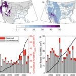 Le changement climatique anthropique contribue à 15 000 décès de fumée de forêt américains et 160 milliards de dollars de pertes, constatation d'étude