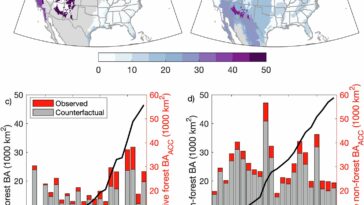 Le changement climatique anthropique contribue à 15 000 décès de fumée de forêt américains et 160 milliards de dollars de pertes, constatation d'étude