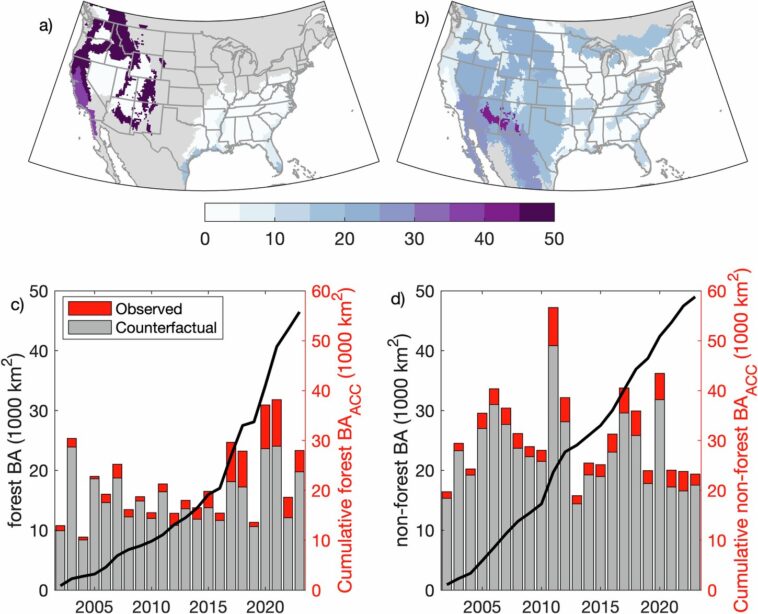 Le changement climatique anthropique contribue à 15 000 décès de fumée de forêt américains et 160 milliards de dollars de pertes, constatation d'étude