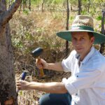 Le climat de réchauffement peut retourner le script sur la quantité de co₂ publiée par les arbres, les découvertes de l'étude