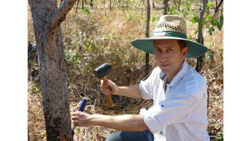 Le climat de réchauffement peut retourner le script sur la quantité de co₂ publiée par les arbres, les découvertes de l'étude