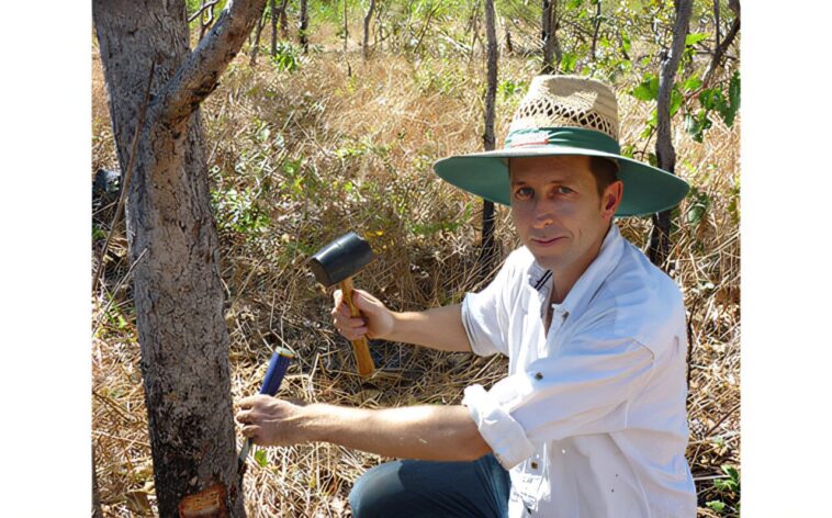 Le climat de réchauffement peut retourner le script sur la quantité de co₂ publiée par les arbres, les découvertes de l'étude