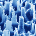 Le dispositif portable capture des molécules aéroportées pour une détection de maladie non invasive